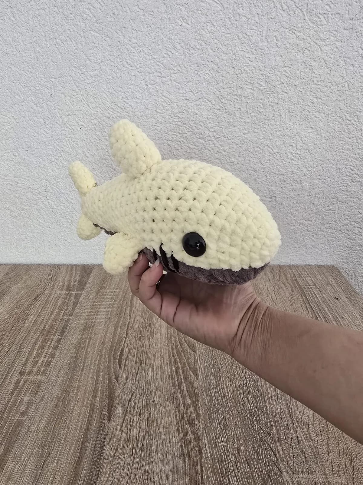 Requin — photo 3