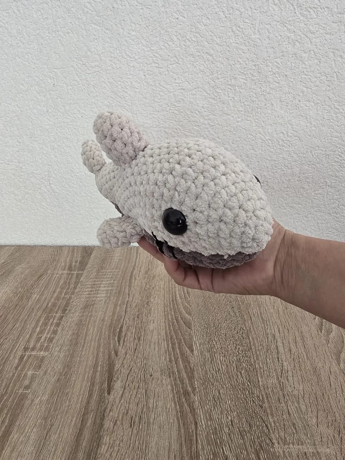Requin — photo 4