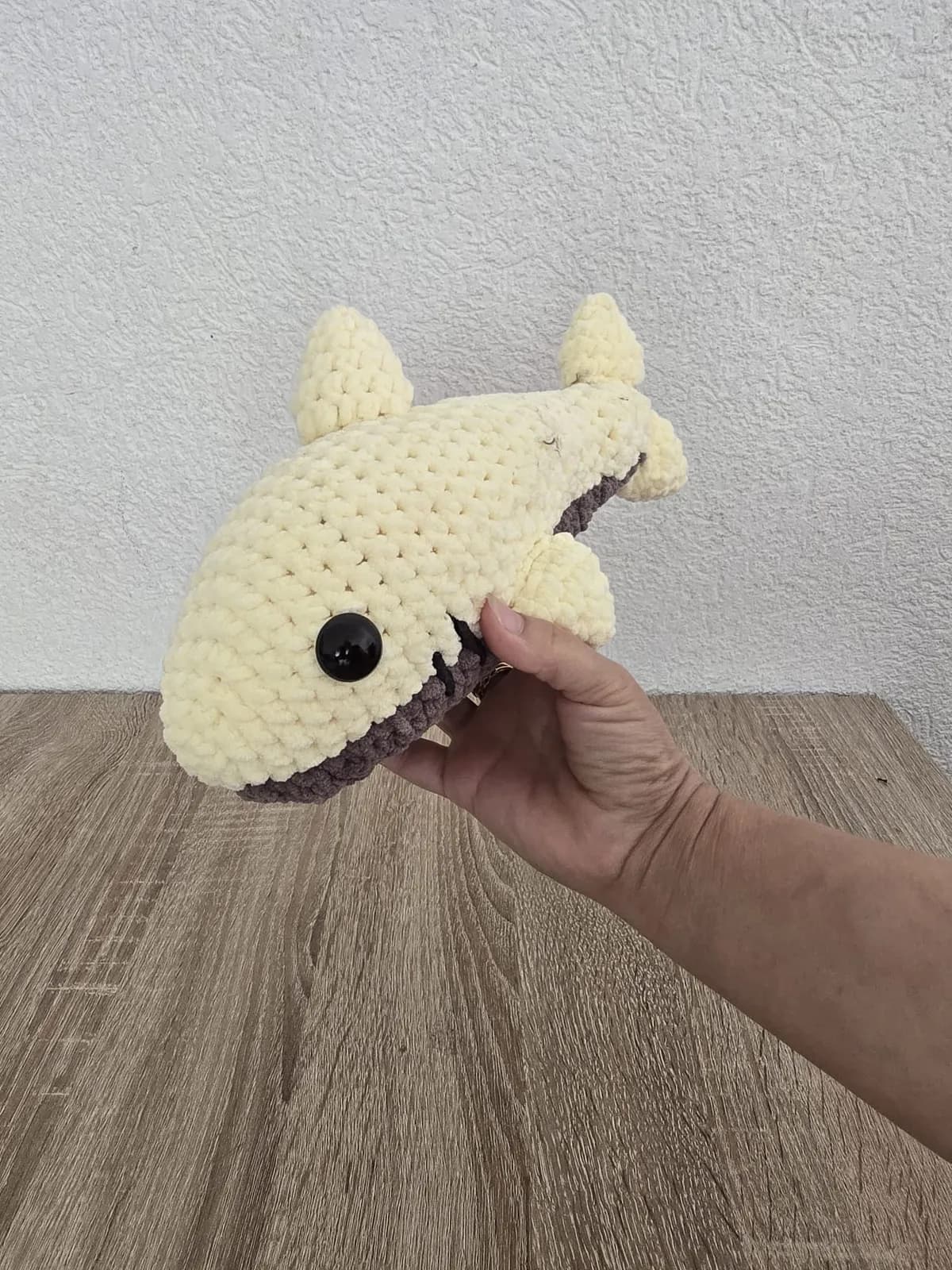 Requin — photo 5
