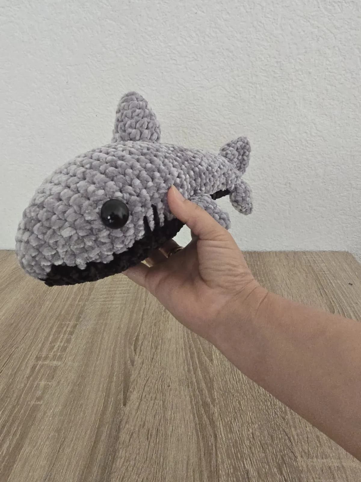 Requin — photo 6