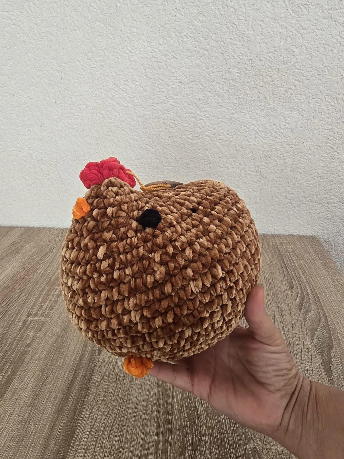 Maman poule et poussin — photo 12