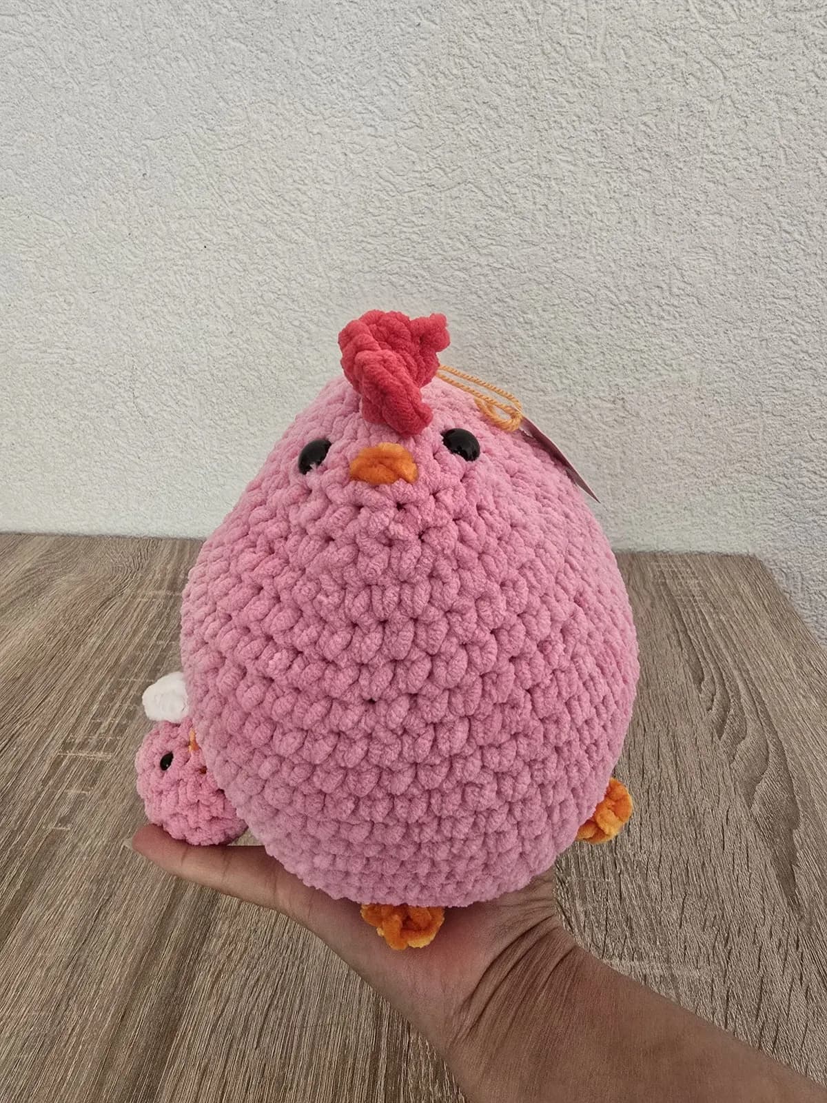 Maman poule et poussin — photo 16