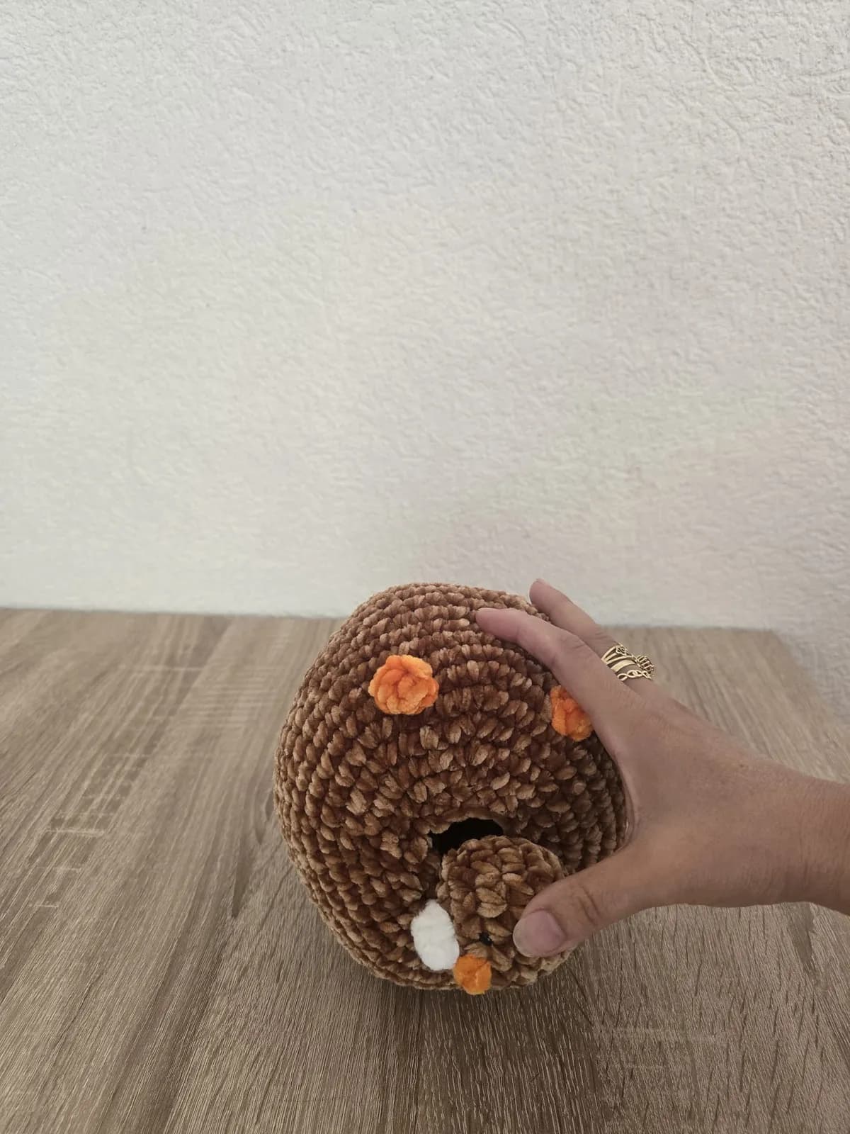 Maman poule et poussin — photo 21