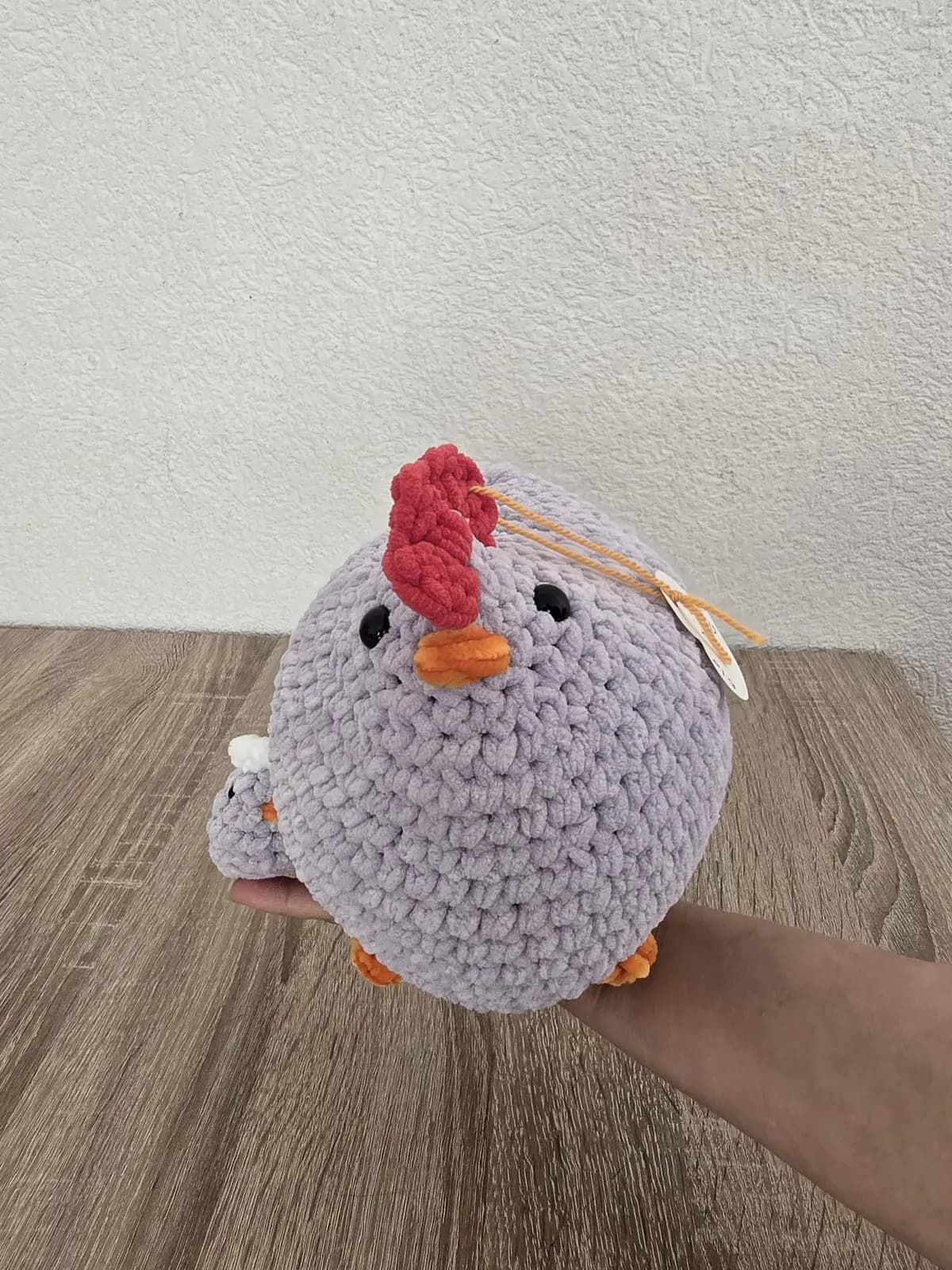 Maman poule et poussin — photo 6